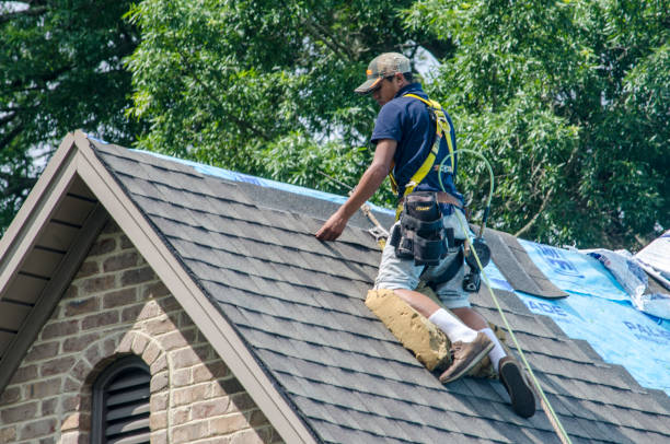 Best Storm Damage Roof Repair  in Northport, AL
